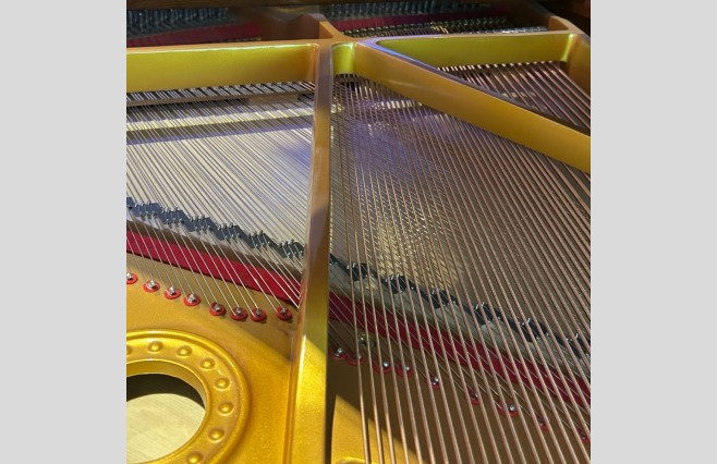 Steinhoven SG148 Polished Walnut Display Model Baby Grand Piano All Inclusive Package (SN:825512) - Image 7